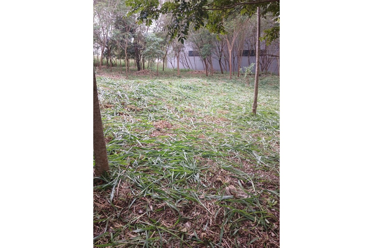 Land for sale in Barrio Catedral, Ciudad del Este