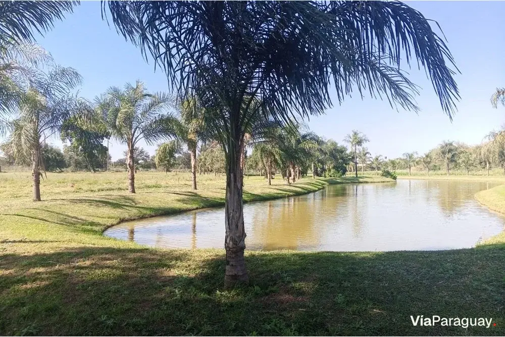 Terreno en venta en Barrio Cerrado Boreal, Filadelfia