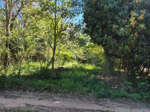 Land for Sale in Gated Community in Areguá - Near Lake Ypacaraí