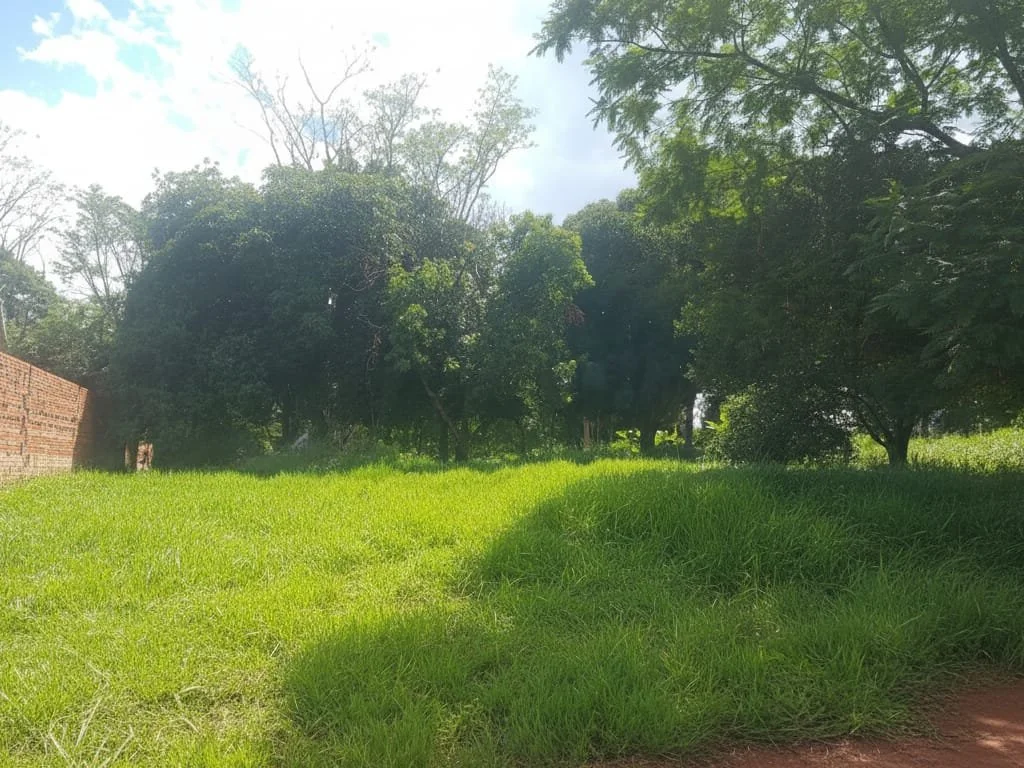 Terreno à venda no bairro La Victoria, San Lorenzo