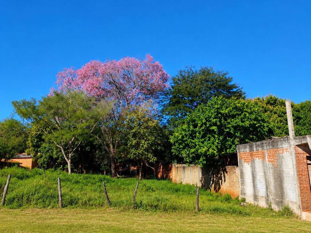 Terreno en venta en barrio Mbayue, Limpio