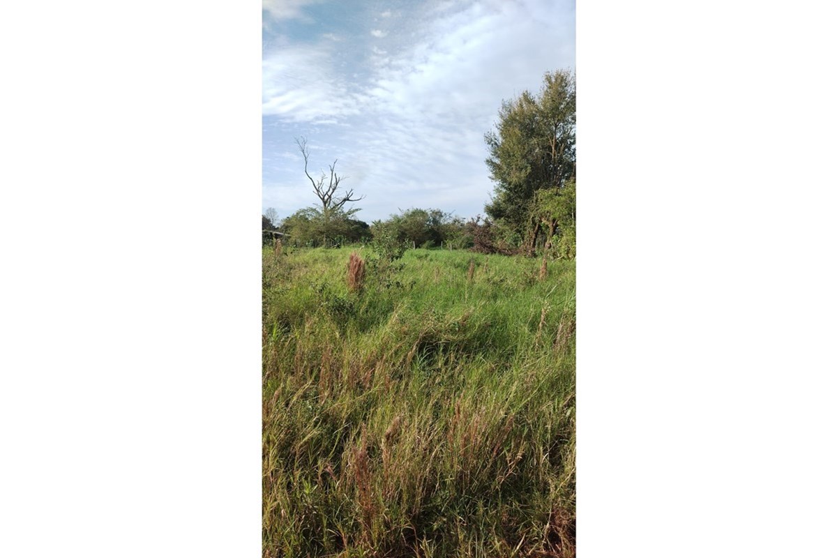 Terreno à venda no Barrio Mburika, Cambyretá