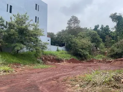 Terreno en venta en Barrio Pablo Rojas, Ciudad del Este — 1.600 m²