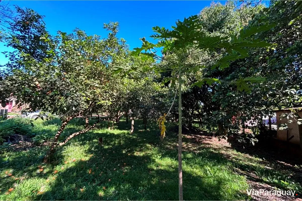 Land for sale in Barrio Quiteria, Encarnación