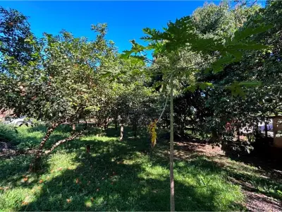 Land for sale in Barrio Quiteria, Encarnación
