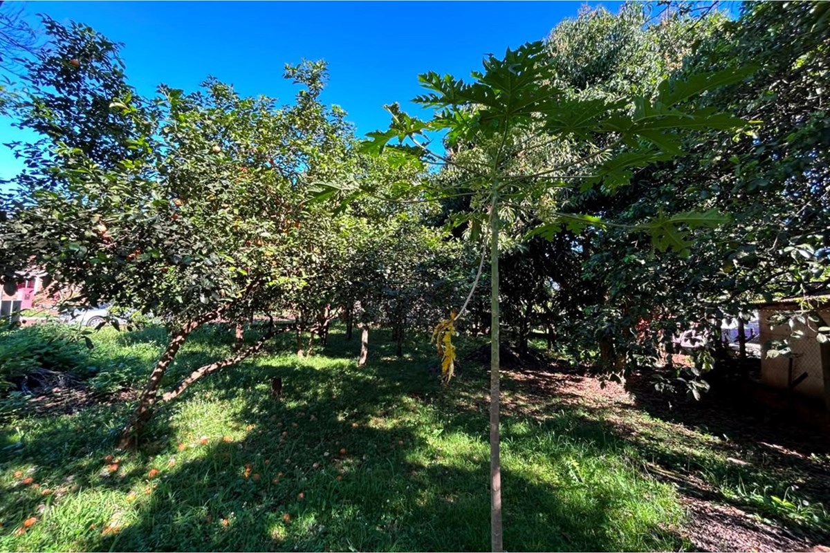Land for sale in Barrio Quiteria, Encarnación