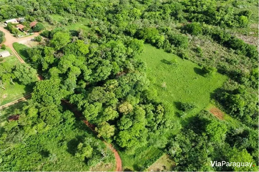 Terreno à venda no Barrio San Antonio Ypekuru, Encarnación