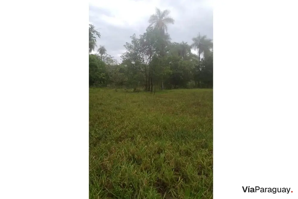 Terreno à venda no Barrio San Blas, Caacupé
