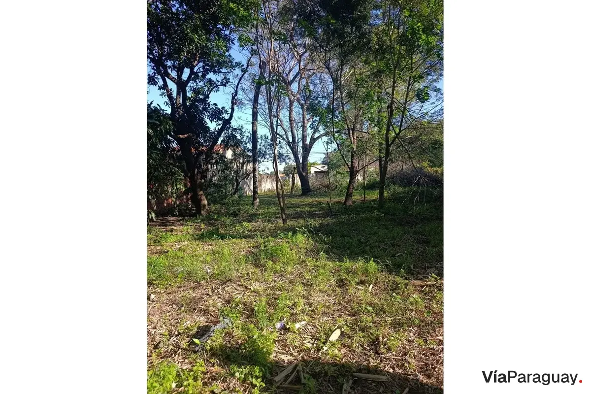 Terreno à venda no bairro San Blas, Mariano Roque Alonso