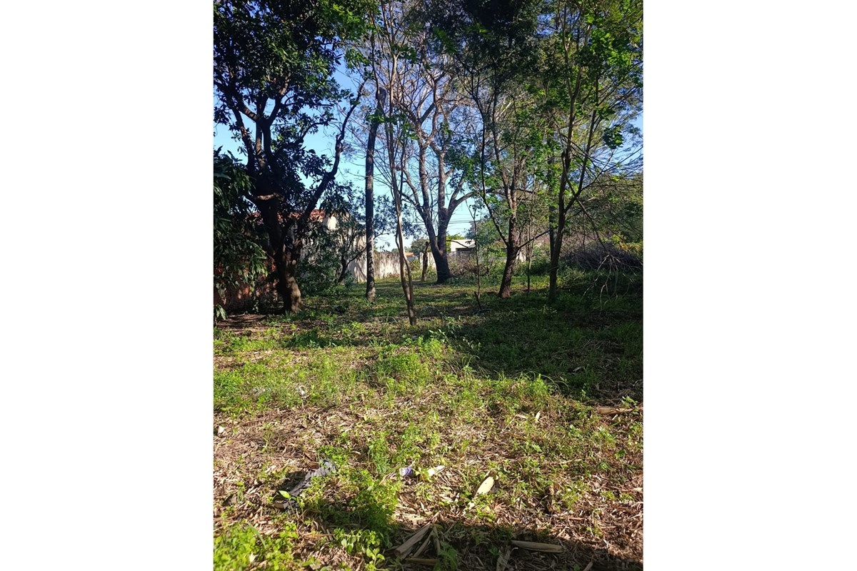 Terreno à venda no bairro San Blas, Mariano Roque Alonso