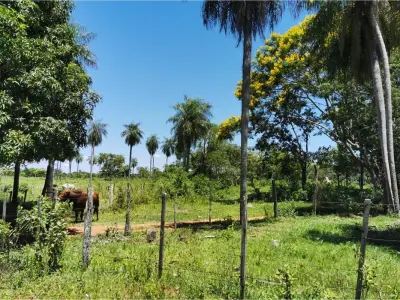 Terreno en venta en Belén, Concepción