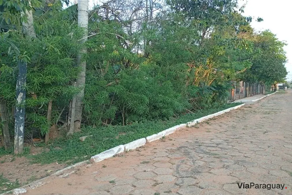 Terreno en venta en Belén, Concepción
