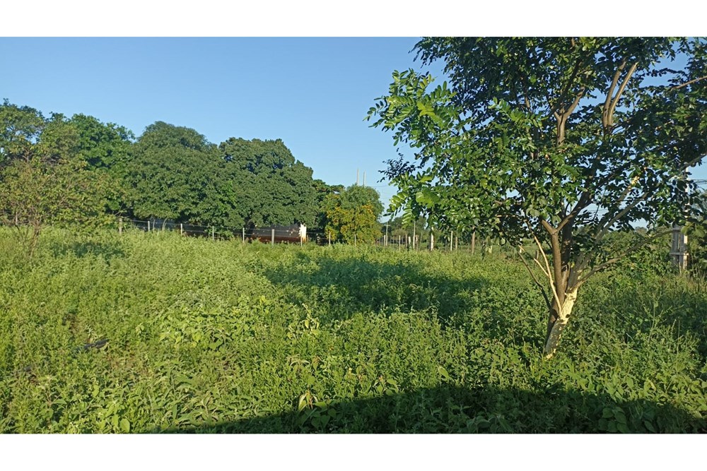 Terreno en venta en Belén, Concepción