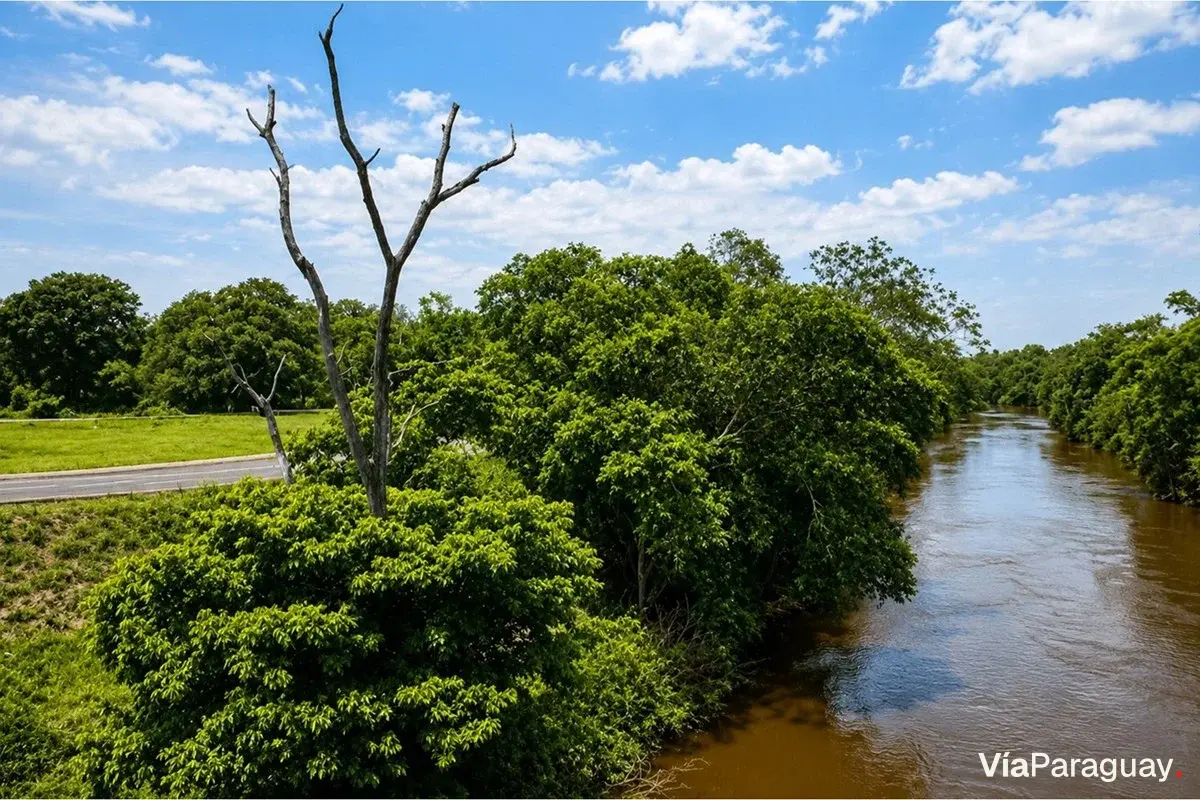 Terreno à venda em Bella Vista, Amambay
