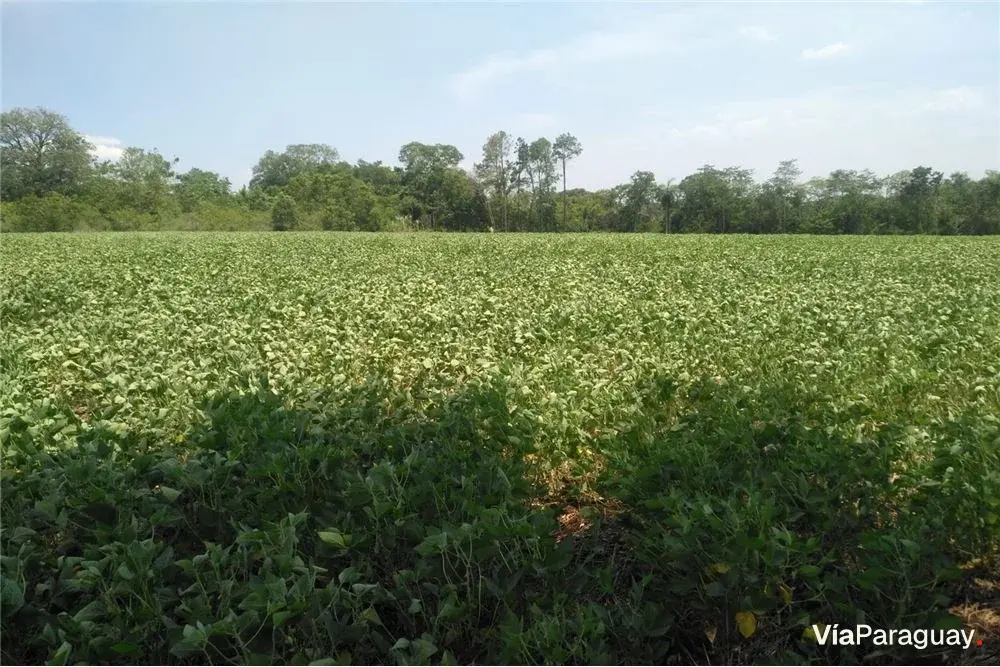 Terreno en venta en Bella Vista, Itapúa