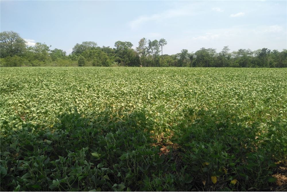 Land for sale in Bella Vista, Itapúa