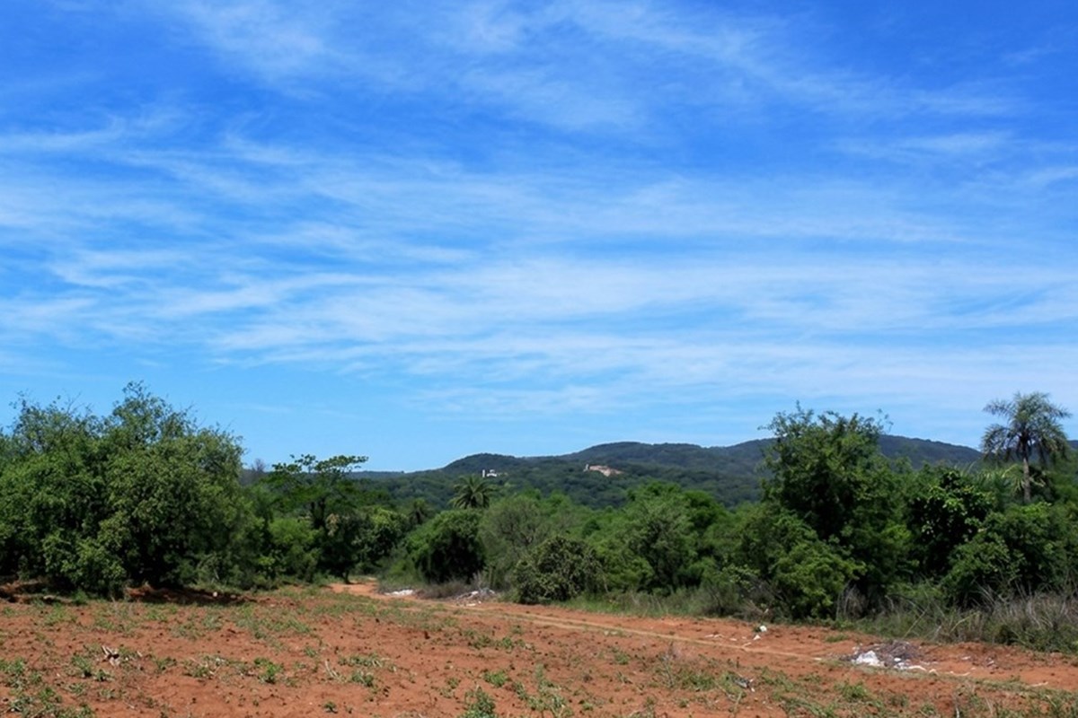 Terreno à venda em Caacupé, bairro San Miguel