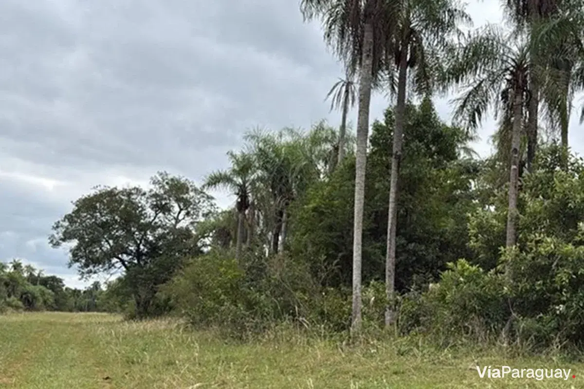 Land for sale in Caacupé, Cordillera