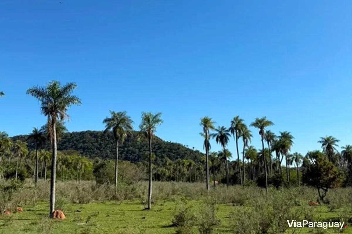 Terreno à venda em Caacupé, Cordillera