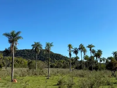 Terreno à venda em Caacupé, Cordillera