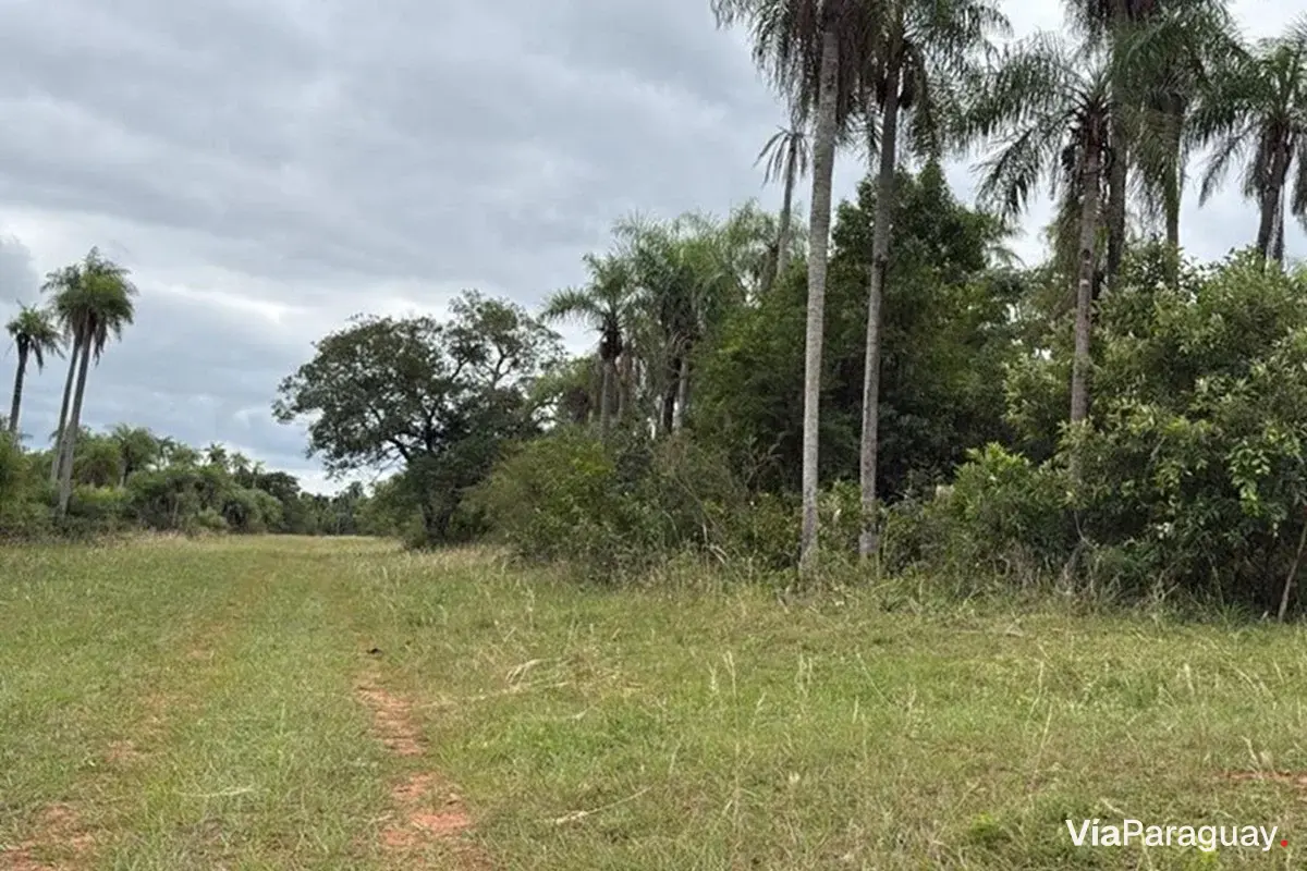 Land for sale in Caacupé, Cordillera
