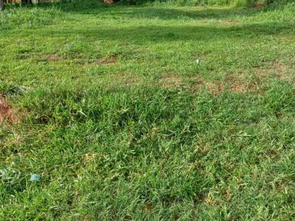 Land for sale in Caacupé, Cordillera — 360 m²