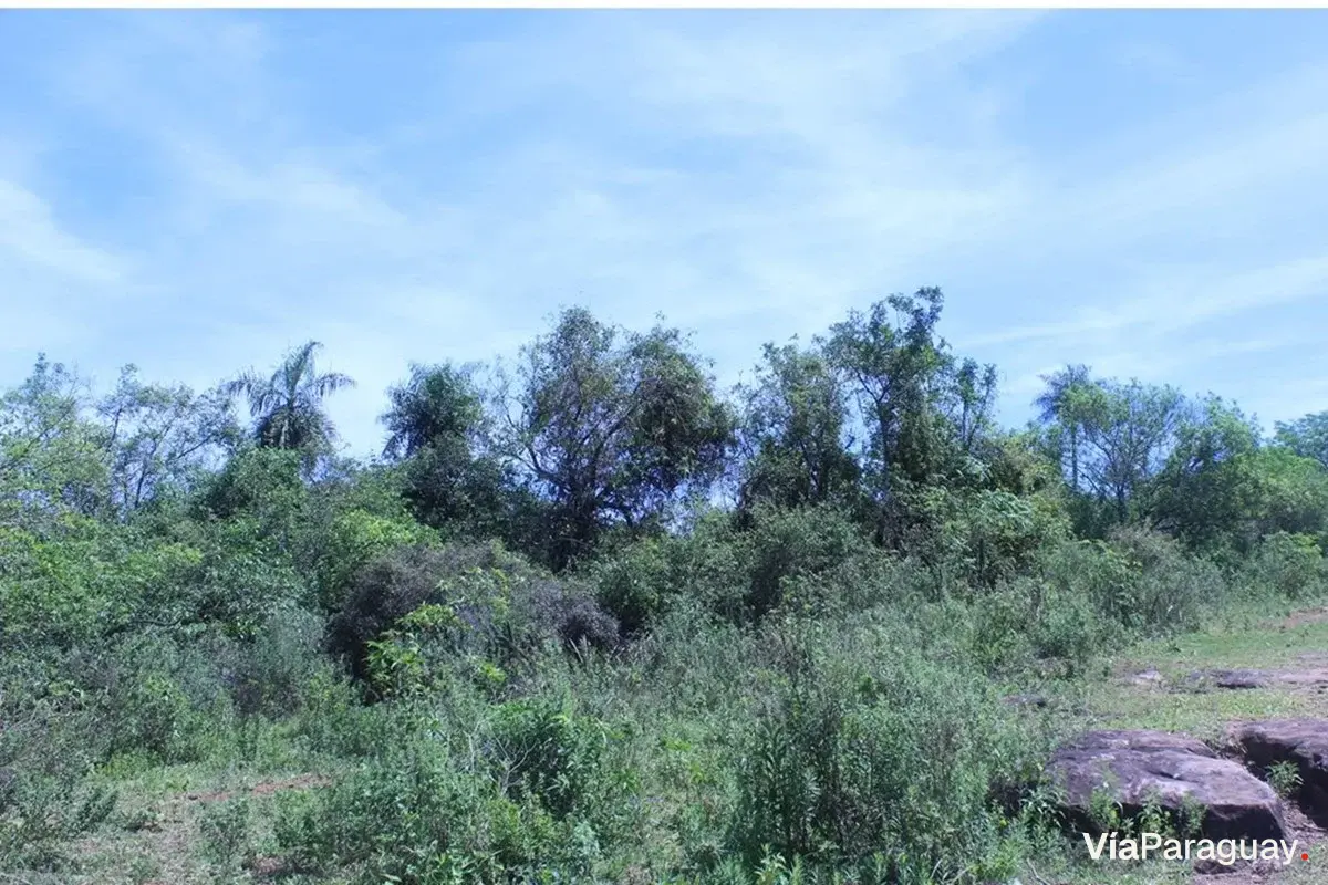 Terreno en venta en Caacupé, Cordillera