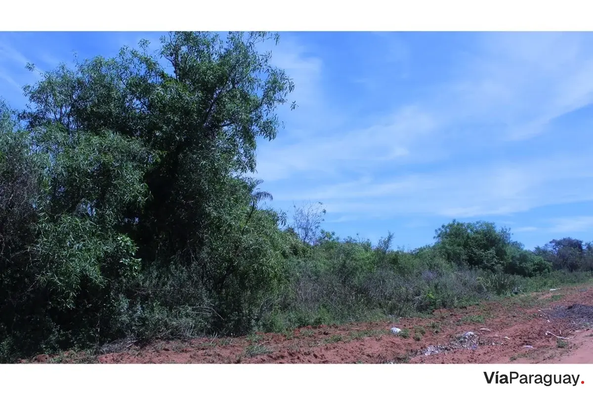 Terreno à venda em Caacupé, Cordillera