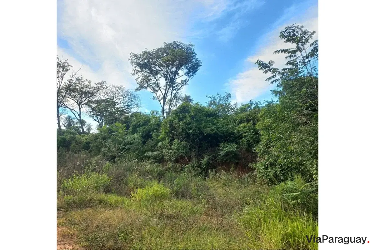 Terreno à venda em Caacupé, San Pablo, para loteamento