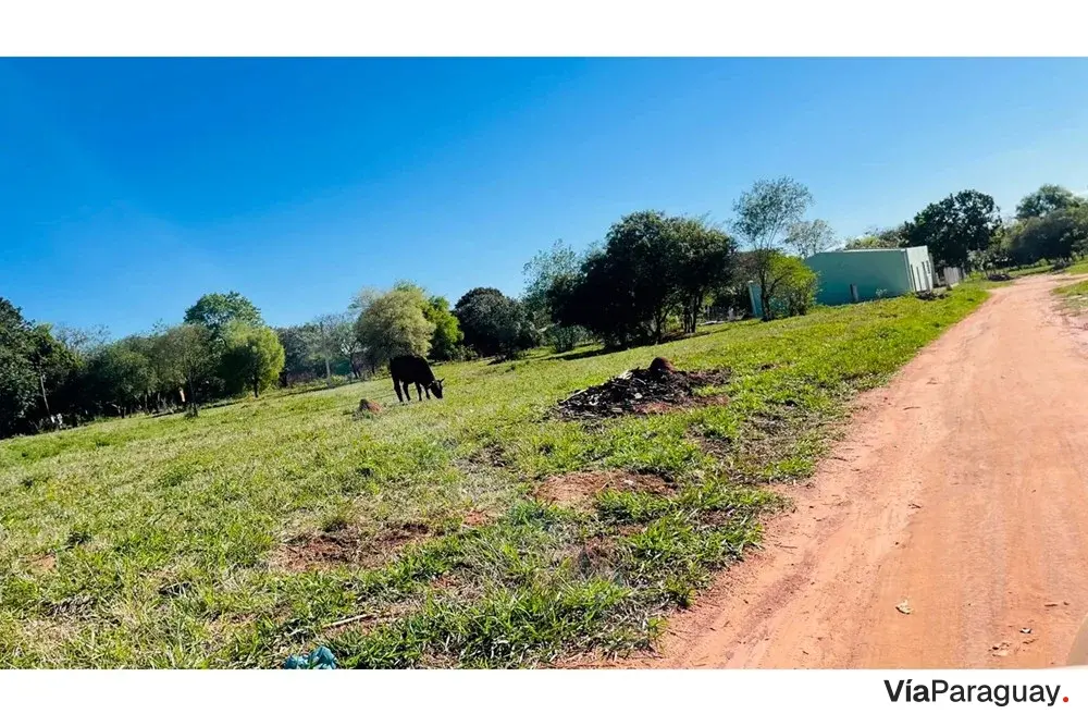 Terreno en venta en Caaguazú: 7 lotes contiguos
