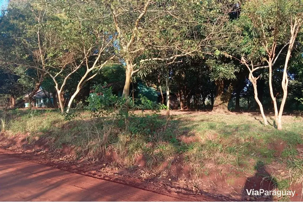Terreno en venta en Caaguazú, 780 m²