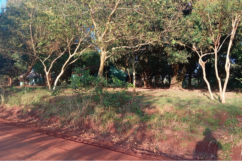 Land for sale in Caaguazú, 780 m²
