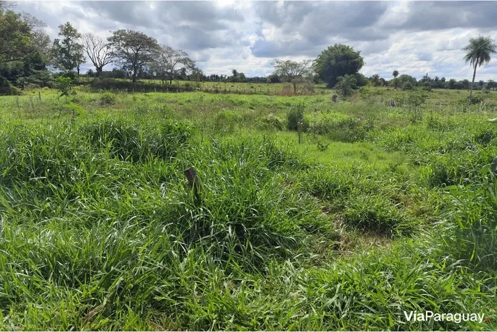 Terreno à venda em Caazapá, 1.080 m²