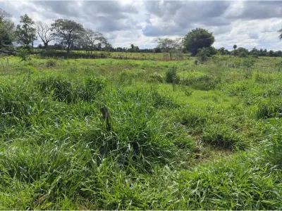 Terreno à venda em Caazapá, 1.080 m²