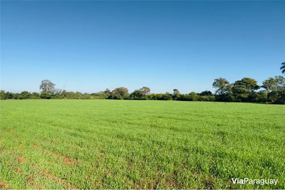 Terreno en venta en Cambyretá, Itapúa