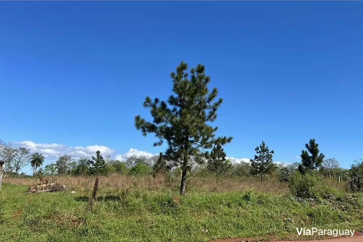 Terreno en venta en Cambyretá, Itapúa