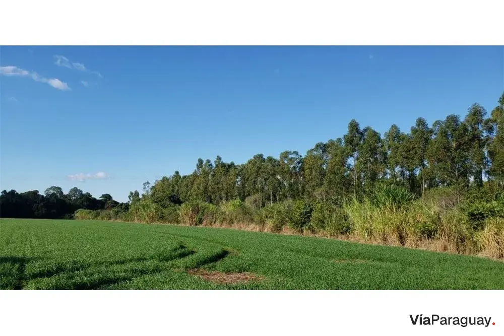 Terreno à venda em Cambyretá, Itapúa
