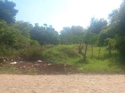 Terreno à venda em Campo Grande, Luque