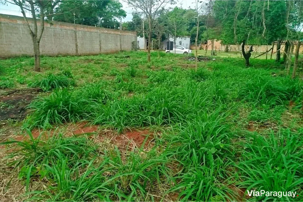 Terreno à venda em Cañada Garay, Luque