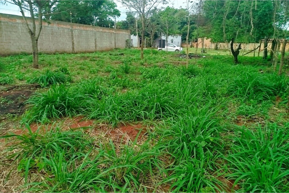 Terreno à venda em Cañada Garay, Luque