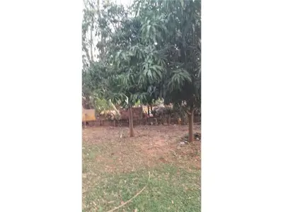 Terreno à venda em Candelaria, Capiatá