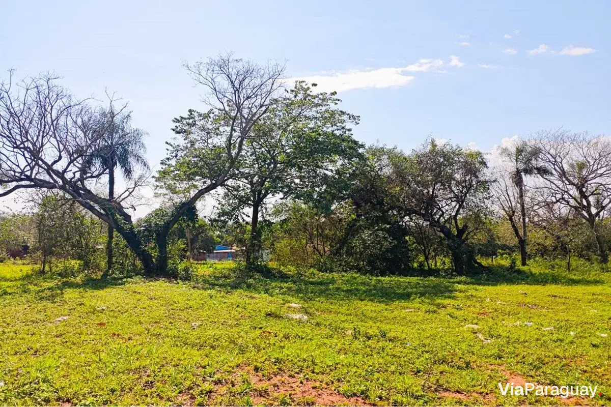 Terreno à venda em Capiata, B° Toledo Cañada