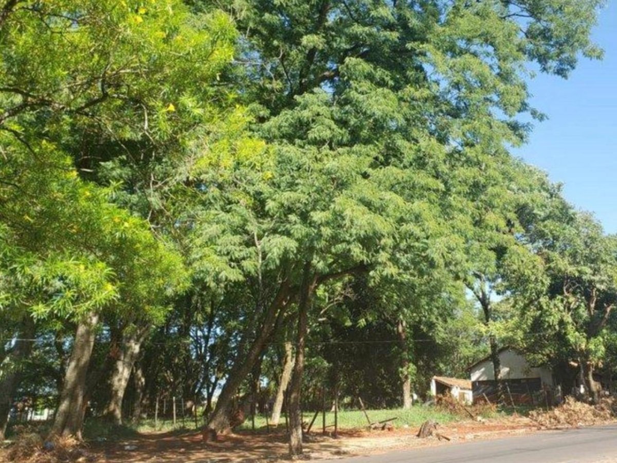 Terreno à venda em Capilla del Monte, San Lorenzo | 420 m²