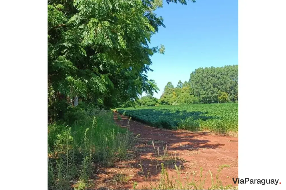 Terreno en venta en Capitán Miranda, Itapúa