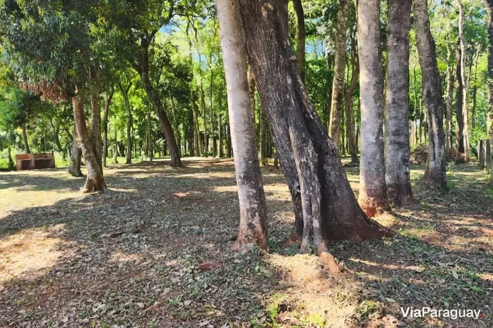 Terreno en venta en Capitán Miranda, Itapúa, 360 m²