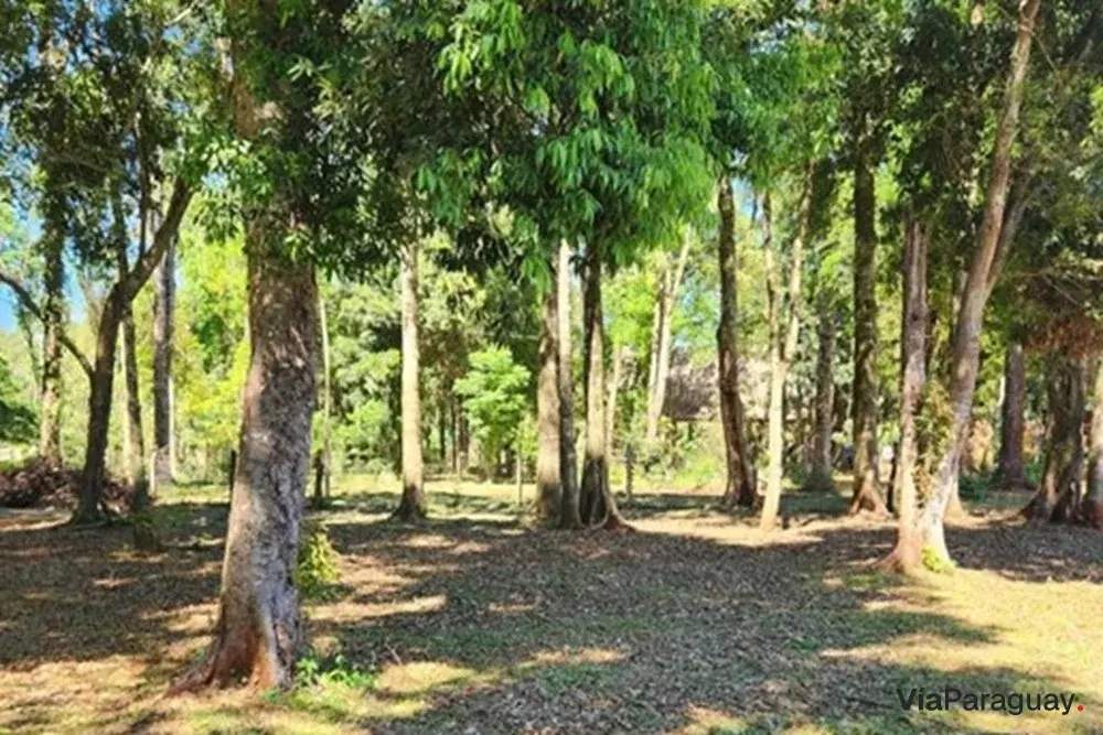 Terreno en venta en Capitán Miranda, Itapúa