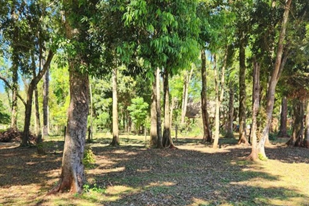 Land for sale in Capitán Miranda, Itapúa