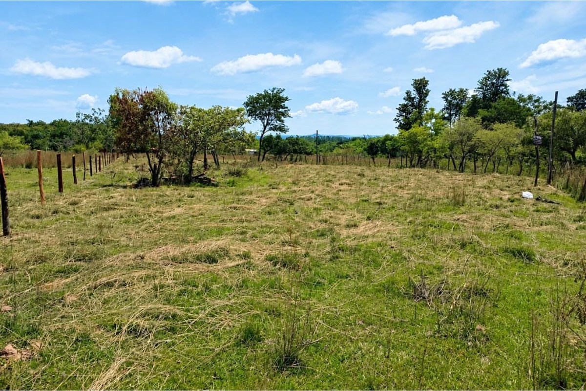 Land for sale in Carapeguá, Paraguarí