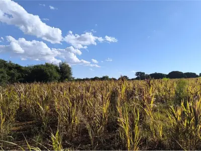 Land for sale in Carmen del Paraná, Itapúa