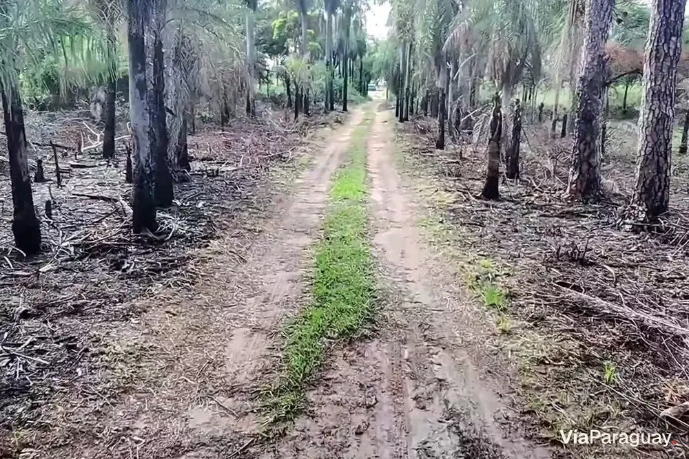 Terreno à venda em Casa Blanca, Ypacaraí